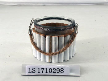 LS1710298