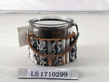 LS1710299