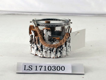LS1710300