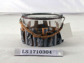 LS1710304