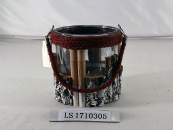 LS1710305