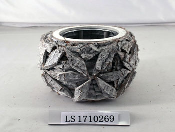 LS1710269