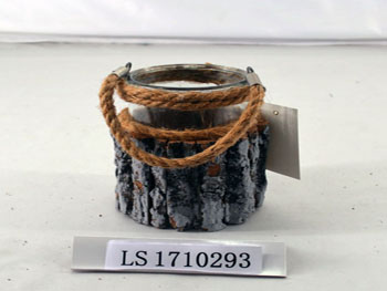 LS1710293
