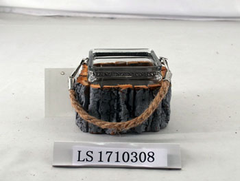 LS1710308