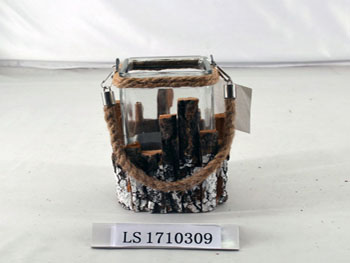 LS1710309