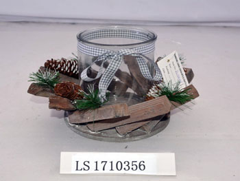 LS1710356