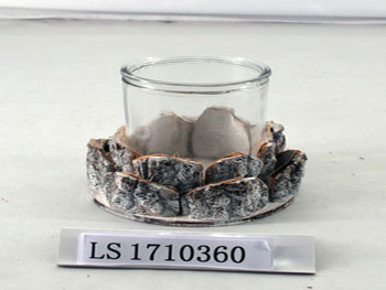 LS1710360