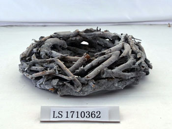 LS1710362