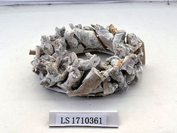 LS1710361