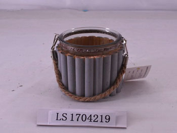 LS1704219