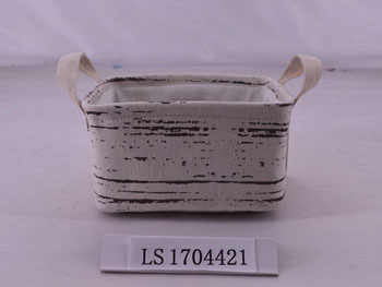 LS1704421