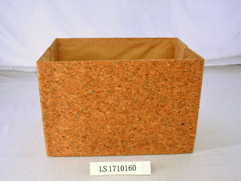 LS1710160