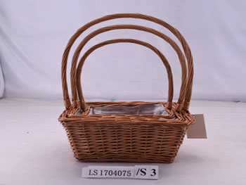 LS1704075 