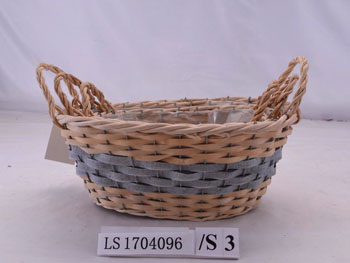 LS1704096 