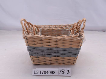 LS1704098  
