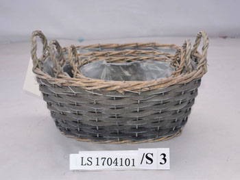 LS1704101 