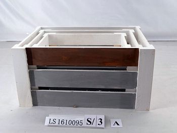 LS1610095A
