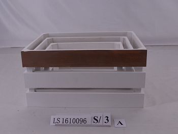 LS1610096A
