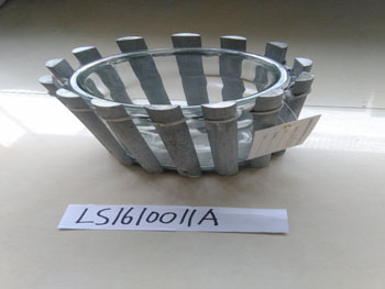 LS1610011A