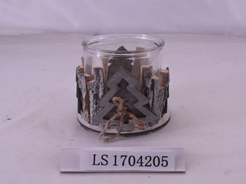 LS1704205
