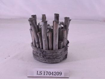 LS1704209