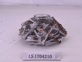 LS1704210
