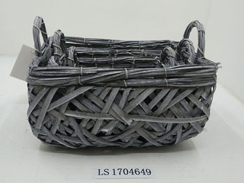 LS1704649