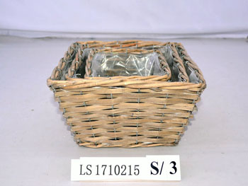 LS1710215