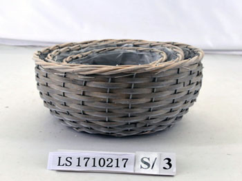 LS1710217