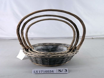 LS1710534
