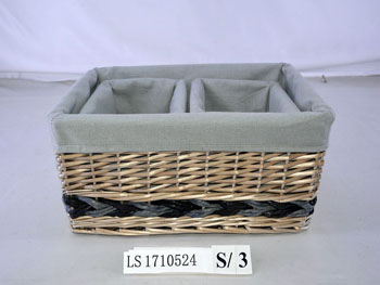 LS1710524