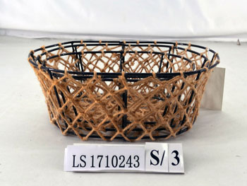 LS1710243