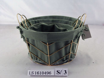 LS1610496