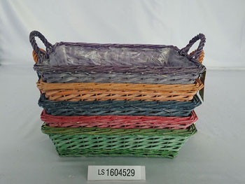 LS1604529