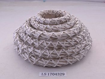 LS1704329