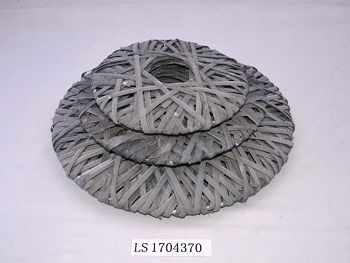 LS1704370