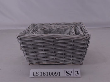 LS1610091