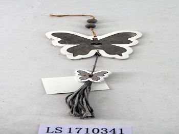 LS1710341