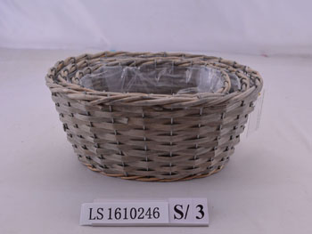 LS1610246