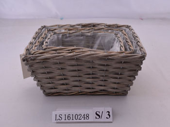 LS1610248