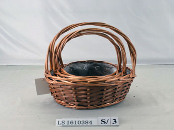 LS1610384