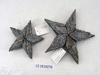LS1610276