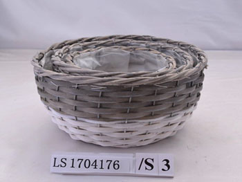 LS1704176
