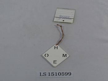 LS1510599