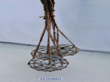 LS1710371