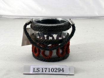LS1710294