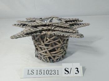 LS1510231