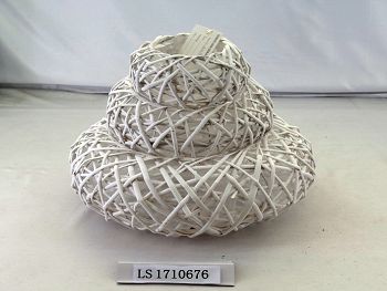 LS1710676