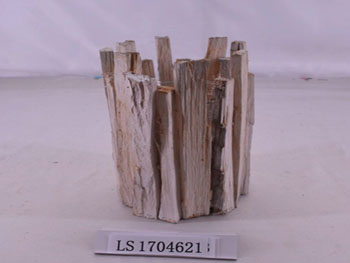 LS1704621