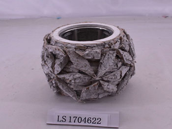 LS1704622